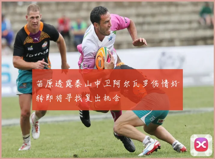 苗原透露泰山中卫阿尔瓦罗伤情好转即将寻找复出机会